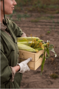 Pelatihan Keamanan Pangan Berbasis HACCP 