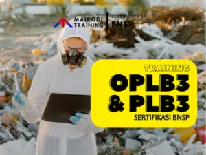 oplb3 plb3 lp